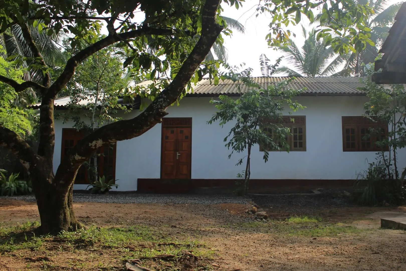 A small, single-story house with a tree in front.